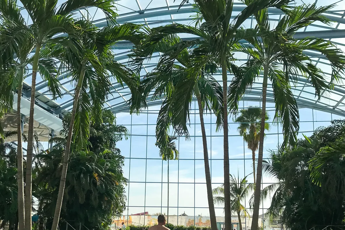Palmen unter der Glaskuppel der großen Therme nördlich von Bukarest